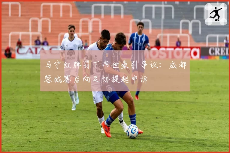 马宁红牌罚下韦世豪引争议：成都蓉城赛后向足协提起申诉