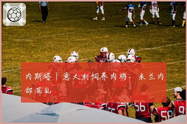 内斯塔丨意大利饲养肉鸡,米兰内部混乱