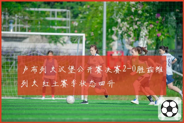 卢布列夫汉堡公开赛决赛2-0胜兹维列夫 红土赛季状态回升