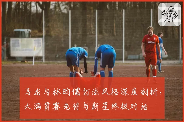 马龙与林昀儒打法风格深度剖析，大满贯赛老将与新星终极对话