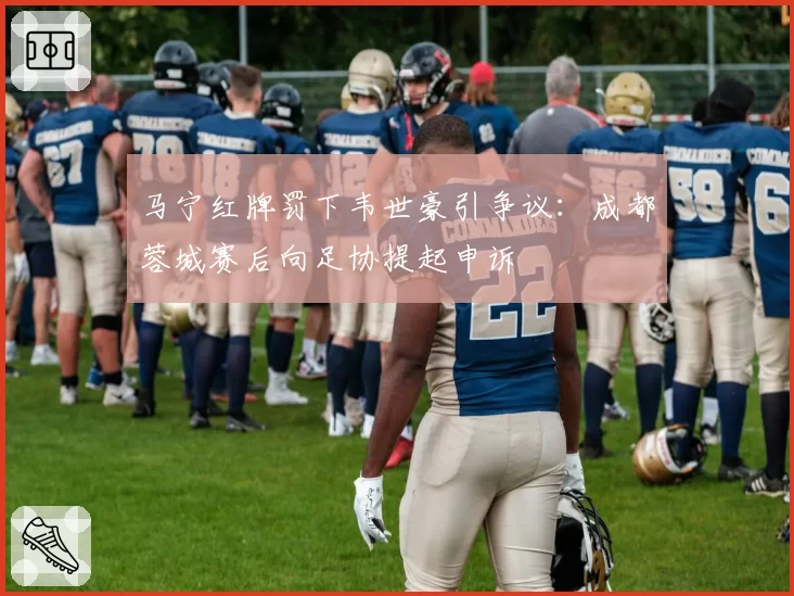 马宁红牌罚下韦世豪引争议：成都蓉城赛后向足协提起申诉