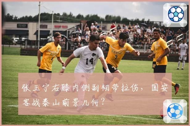 张玉宁右膝内侧副韧带拉伤,国安客战泰山前景几何?