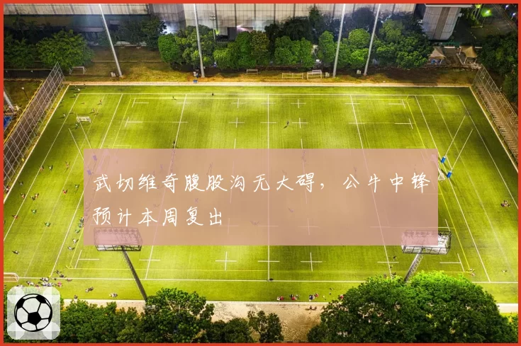 武切维奇腹股沟无大碍,公牛中锋预计本周复出