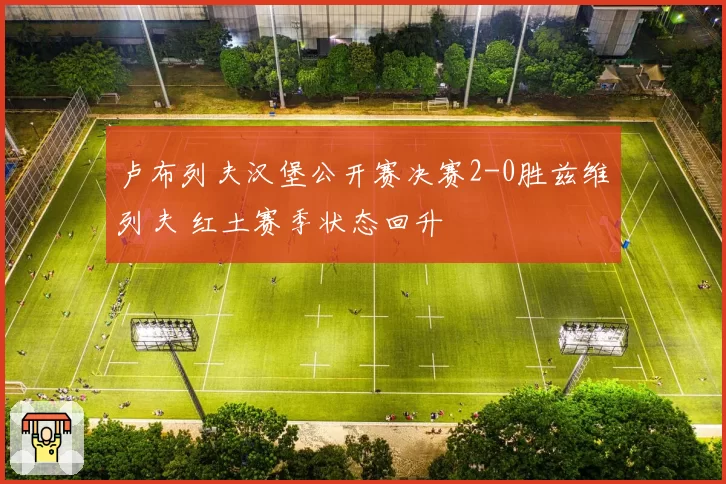 卢布列夫汉堡公开赛决赛2-0胜兹维列夫 红土赛季状态回升
