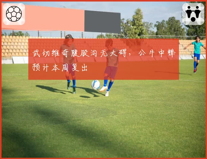 武切维奇腹股沟无大碍，公牛中锋预计本周复出
